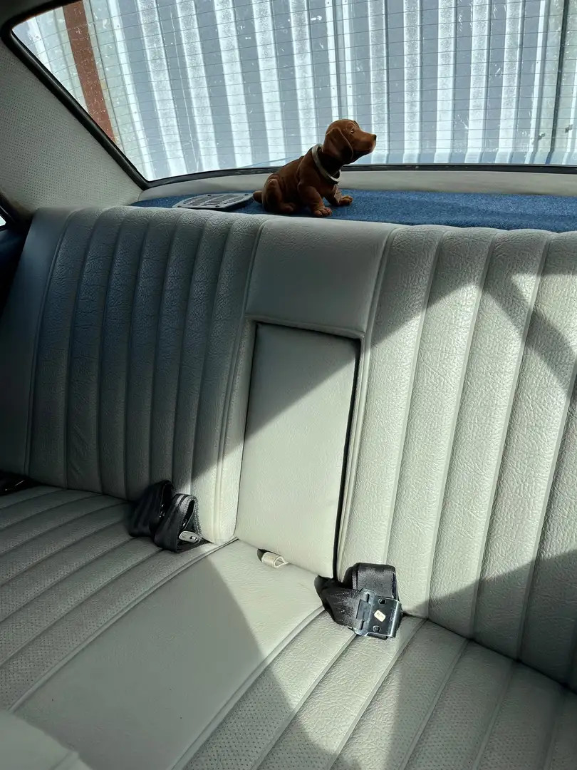 Arrière sobre avec chien d’époque